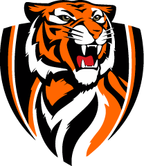 Tiger icon - black and orange
